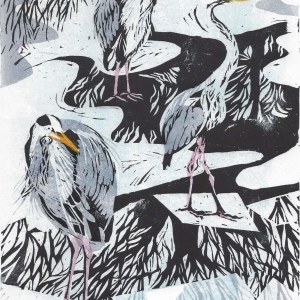 DLE0020herons2 Diana Leadbetter