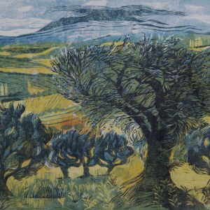 DLE0048olive trees  Diana Leadbetter
