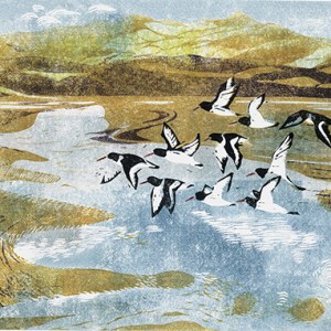 DLE0051 oystercatchers- Diana Leadbetter