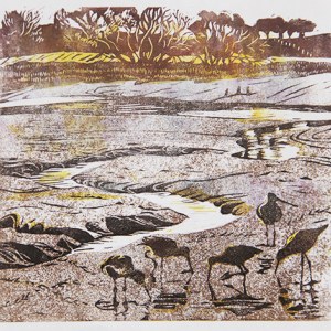 DLE0054 godwits- Diana Leadbetter