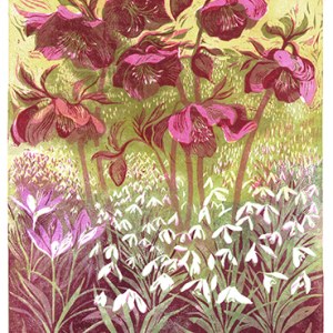 DLE0058 Early Spring Flowers- Diana Leadbetter