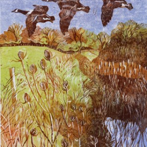 DLE0067 geese print Diana Leadbetter