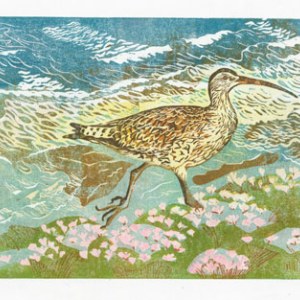 DLE0075 whimbrel 2- Diana Leadbetter
