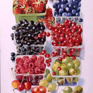 AR DLE0002-berries- Diana Leadbetter