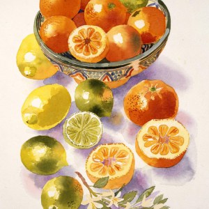 AR DLE0003-citrus fruit- Diana Leadbetter