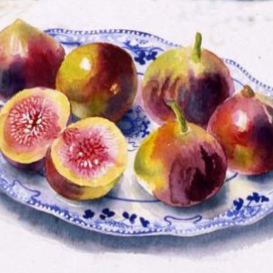 AR DLE0022 figs- Diana Leadbetter