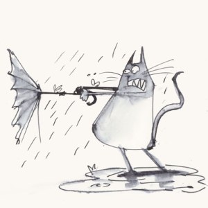 AR STM0036 umbrella-Steve May