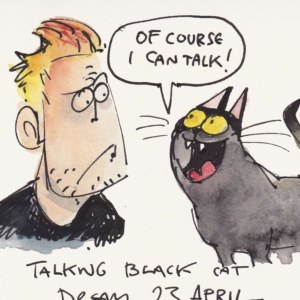 Steve May AR STM0064 TalkingBack