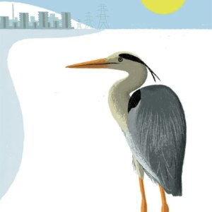 AR FCA0068 SNOW HERON- Frances Castle