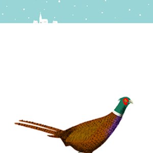 AR FCA0047 pheasant- Frances Castle