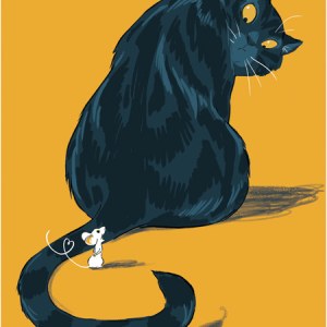 AR AST0072 cat-Adam Stower