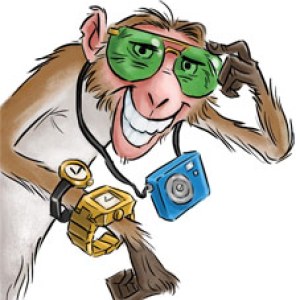 AR AST0078 Animals behaving badly tourist monkey-Adam Stower